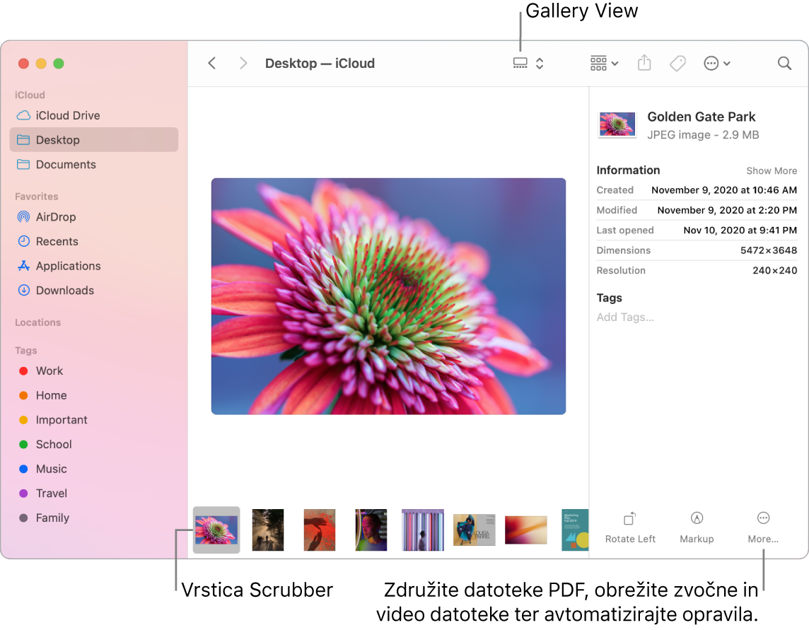 Odprto okno aplikacije Finder v pogledu Gallery prikazuje veliko fotografijo, pod njo pa je vrstica z manjšimi fotografijami – vrstica za upravljanje. Na desni strani vrstice za upravljanje so upravljalni elementi za obračanje, označevanje in dodatne funkcije.