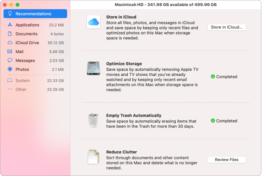 Inställningspanelen Rekommendationer för lagring med alternativen Lagra på iCloud, Optimera lagring, Radera papperskorgen automatiskt och Minska plotter.