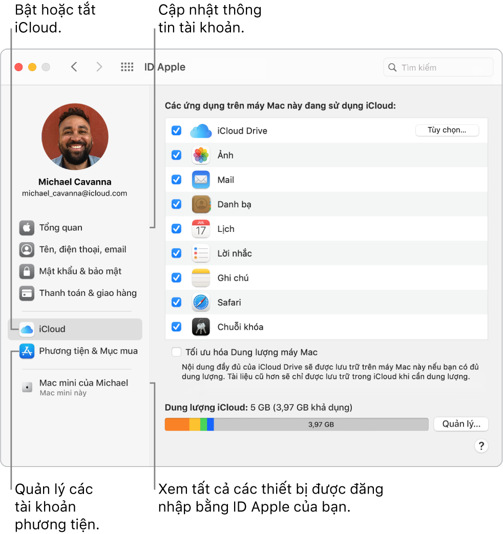 Khung ID Apple trong Tùy chọn hệ thống. Bấm vào một mục trong thanh bên để cập nhật thông tin tài khoản của bạn, bật hoặc tắt iCloud, quản lý các tài khoản phương tiện và xem tất cả các thiết bị được đăng nhập bằng ID Apple của bạn.