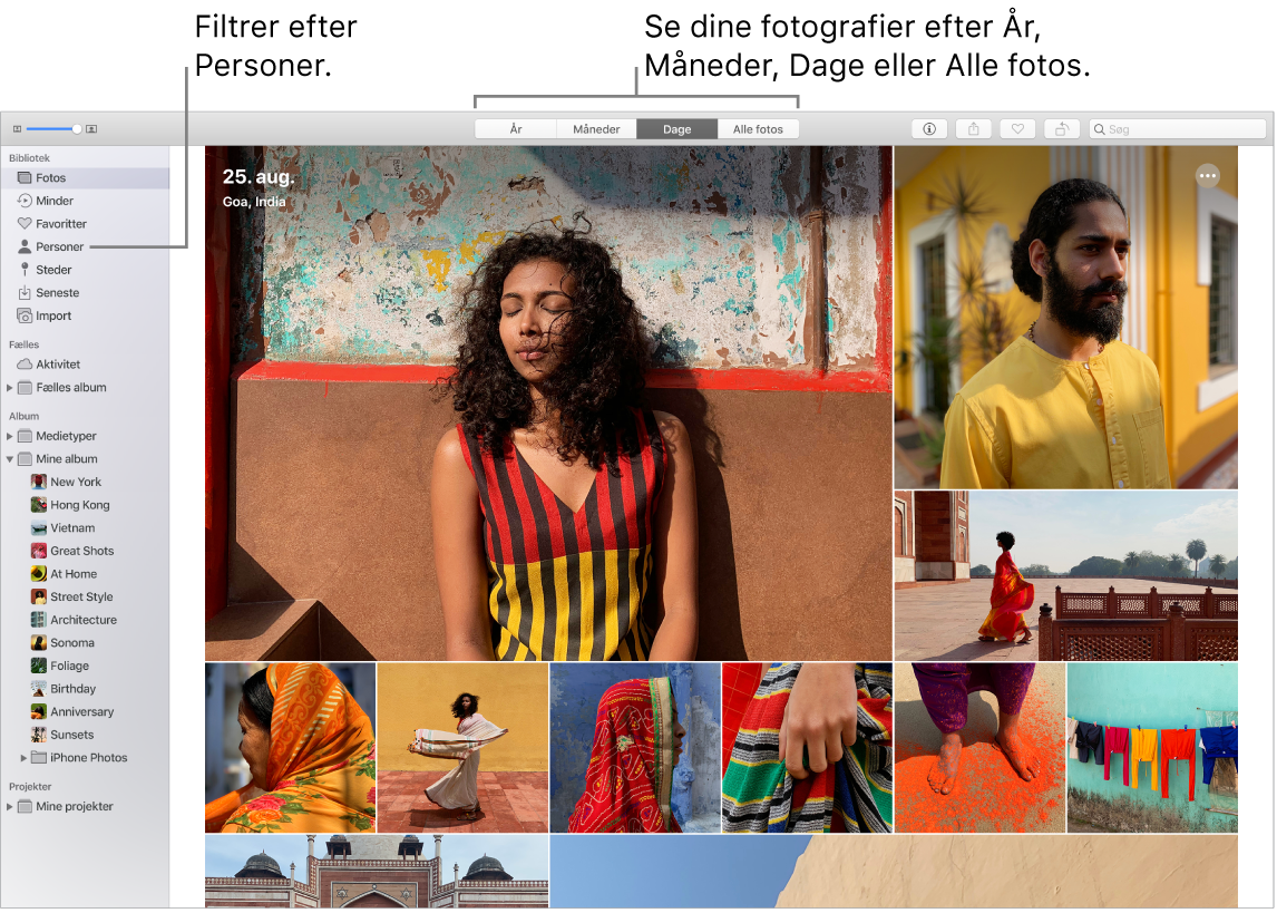 Et Fotos-vindue, der viser, hvordan fotos kan filtreres i dit album på forskellige måder.