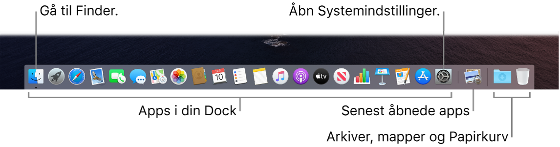 Et billede af Dock med Finder, Systemindstillinger og stregen i Dock, der adskiller programmer fra arkiver og mapper.