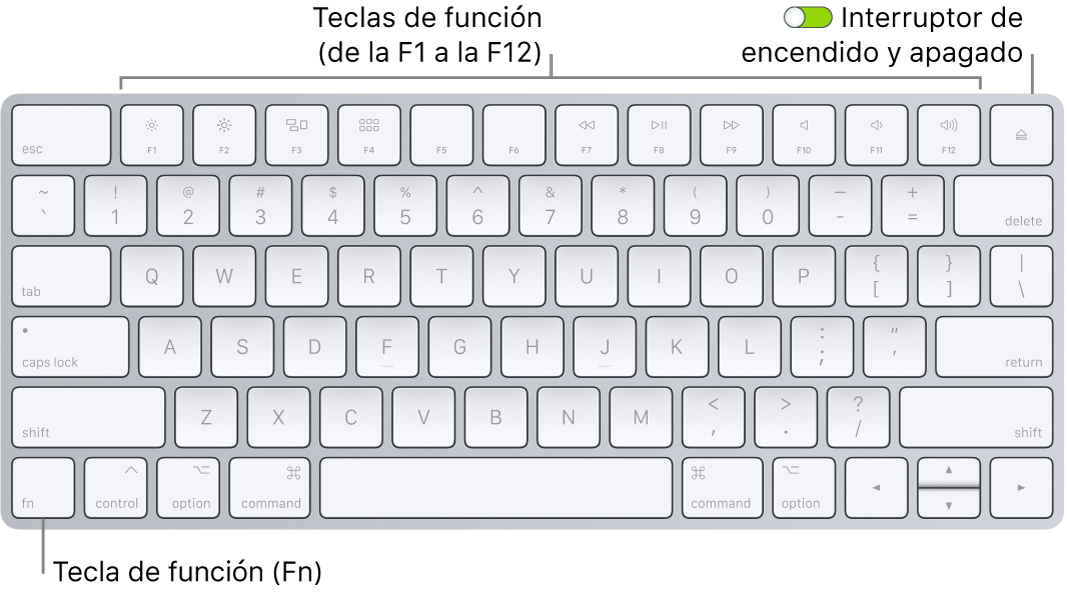 Teclado Magic Keyboard con la tecla de función (Fn) en la esquina inferior izquierda y el interruptor de encendido/apagado en la esquina superior derecha del teclado.
