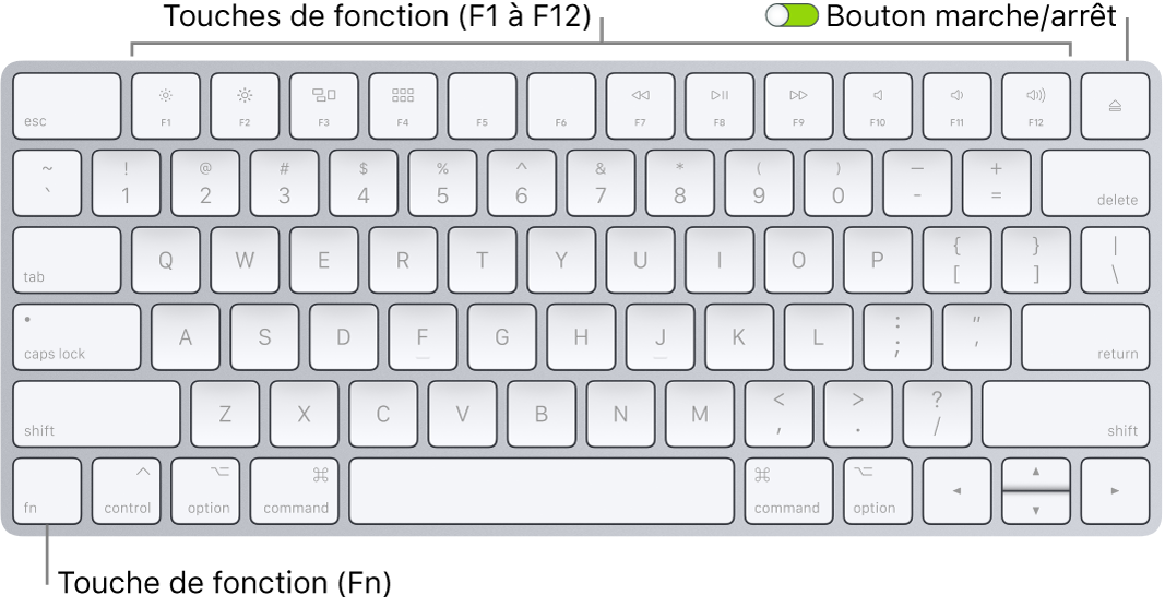 Magic Keyboard présentant la touche de fonction (Fn) dans le coin inférieur gauche et le bouton marche/arrêt dans le coin supérieur droit du clavier.