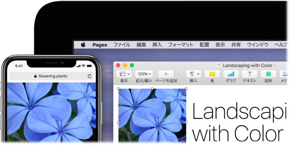 iPhoneに写真が表示されており、同じ写真が隣のMacのPages書類にペーストされています。