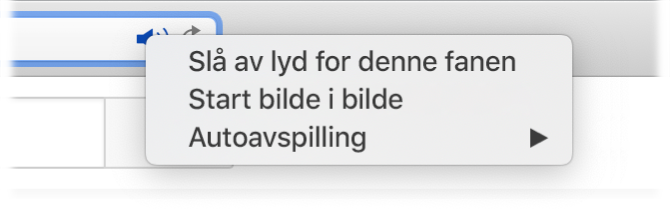 Undermenyen for Lyd-symbolet, med Slå av lyd for denne fanen, Start bilde i bilde og Autoavspilling.