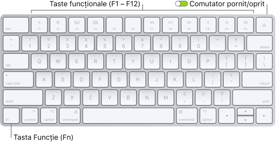 Magic Keyboard prezentând tasta Funcție (Fn) din colțul din stânga jos și comutatorul de pornire/oprire din colțul din dreapta sus al tastaturii.