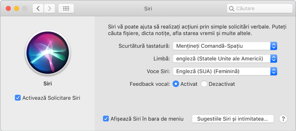 Fereastra de preferințe pentru Siri, având selectată opțiunea Activează Solicitare Siri în stânga și câteva opțiuni pentru personalizarea Siri în dreapta.