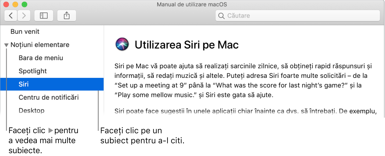 Vizualizator Ajutor afișând modul de vizualizare a subiectelor prezentate în bara laterală și modul de afișare a conținutului unui subiect.