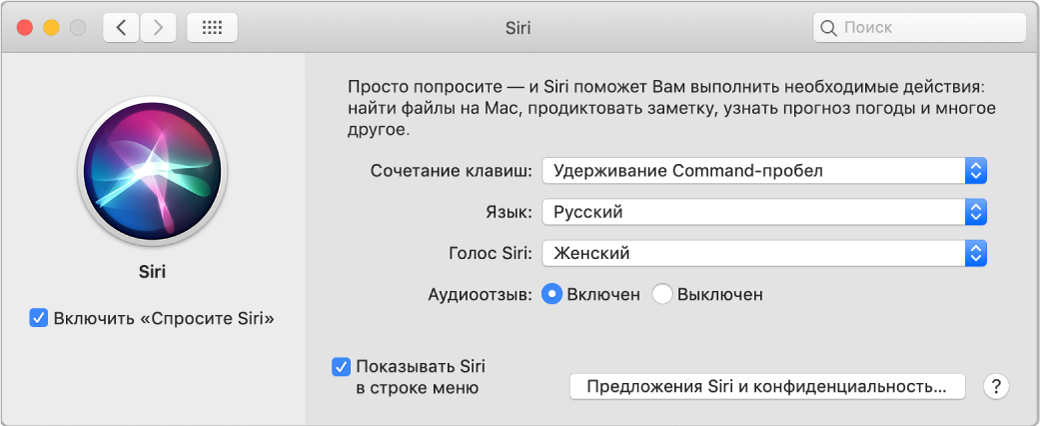 Окно настроек Siri, в котором слева отмечена галочка включения «Спросите Siri», а справа содержатся параметры настройки Siri.