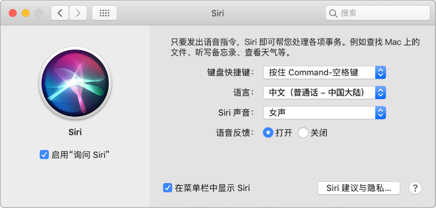 Siri 偏好设置窗口，左边“启用‘询问 Siri’”已选，右边显示多个自定 Siri 的选项。