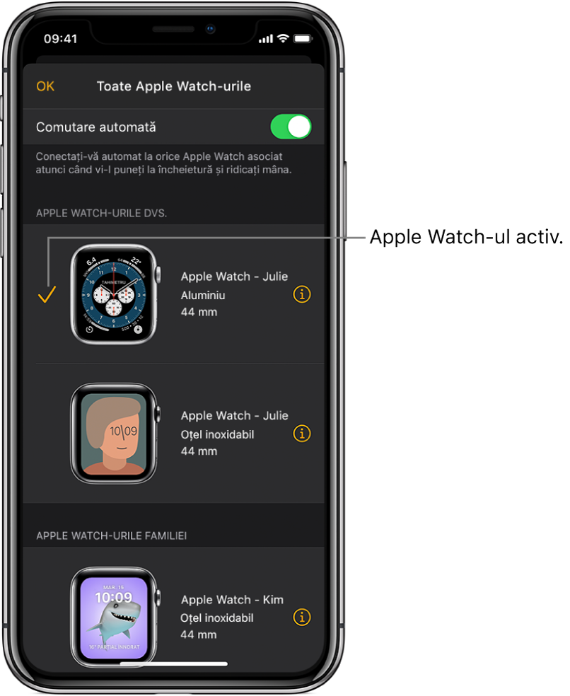 În ecranul Toate Apple Watch-urile al aplicației Apple Watch, o bifă indică Apple Watch‑ul activ.