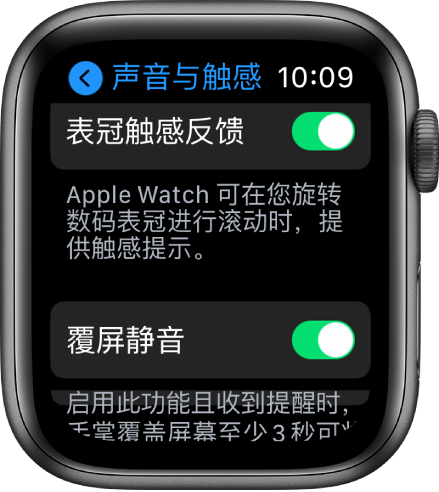 “表冠触感反馈”屏幕,显示“表冠触感反馈”开关已打开。下方是“覆屏静音”按钮。