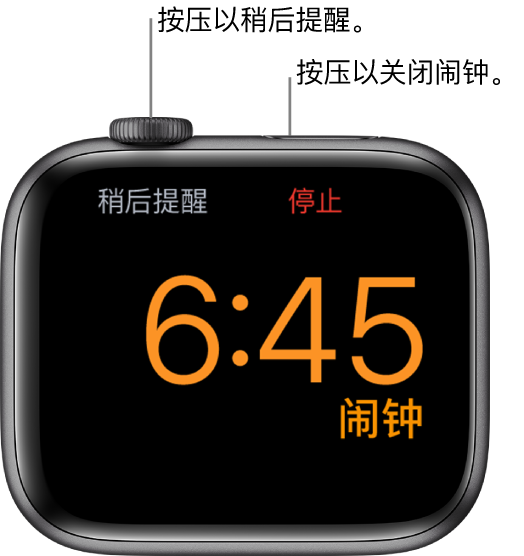 侧放着的 Apple Watch,屏幕显示已响的闹钟。数码表冠下方是“稍后提醒”。“停止”位于侧边按钮下方。