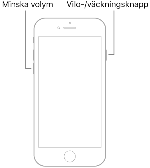 Bild på iPhone 7 med skärmen vänd uppåt. Knappen för volym ned finns på vänster sida av enheten, och på höger sida finns vilo-/väckningsknappen.