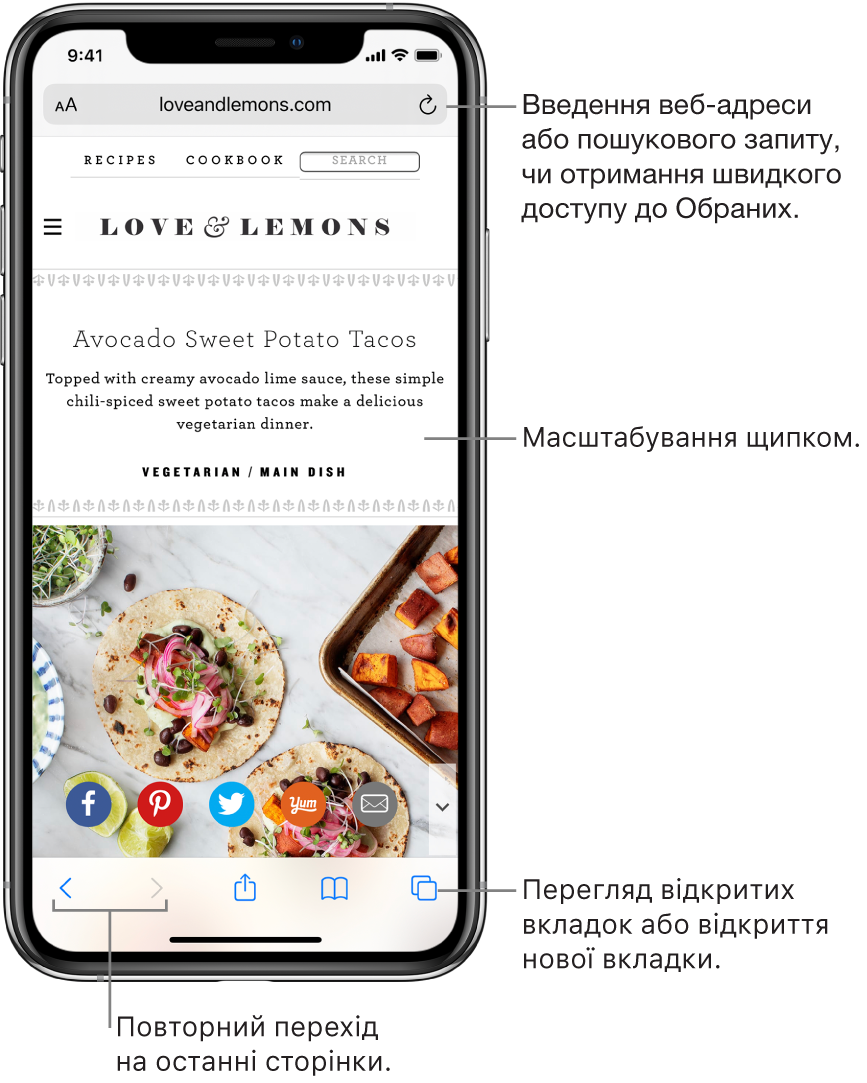 Веб-сайт відкрито в Safari, зверху розташовано поле адреси. Унизу зліва направо розміщено кнопки «Назад», «Вперед», «Оприлюднити», «Закладки» та «Сторінки».