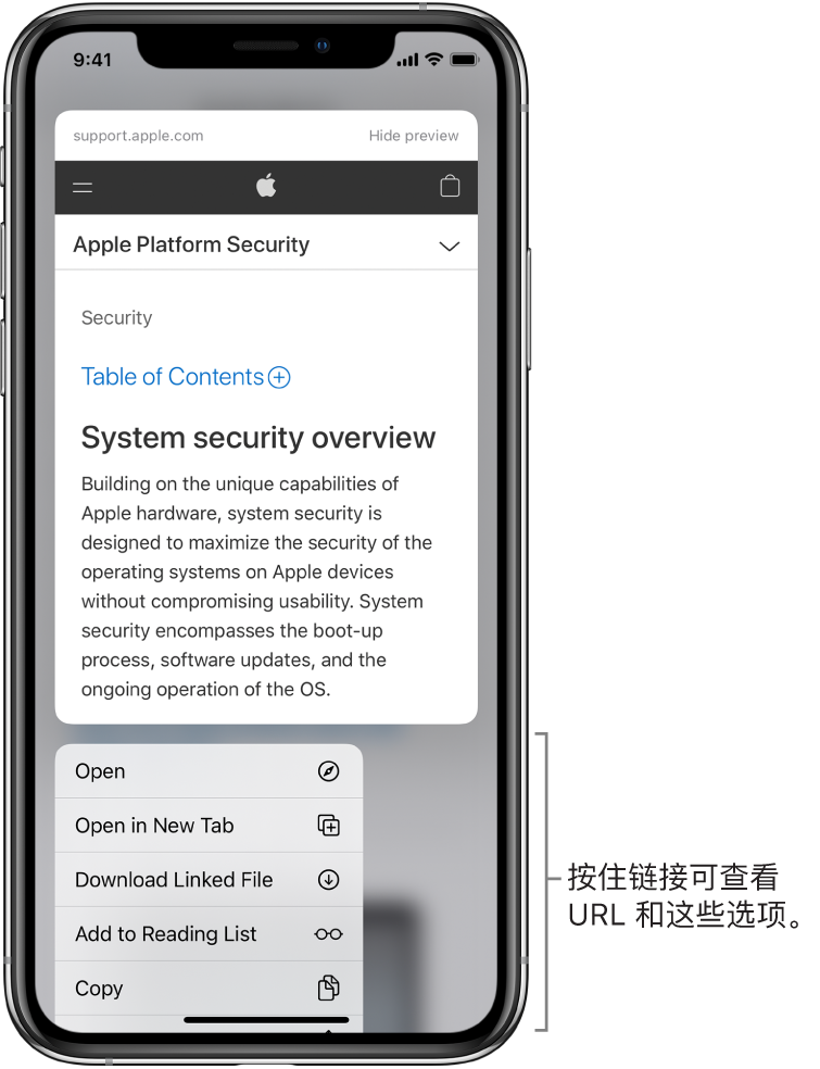 叠层显示了目的位置 URL 及可能的操作列表的预览:“打开”、“加入阅读列表”、“添加到‘照片’”、“拷贝”和“共享”。