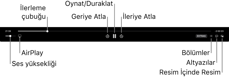 Oynatma denetimleri