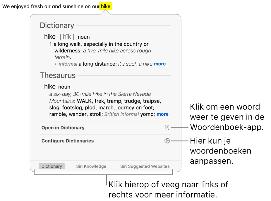 Het opzoekvenster met Woordenboek- en Thesaurus-definities voor een woord.