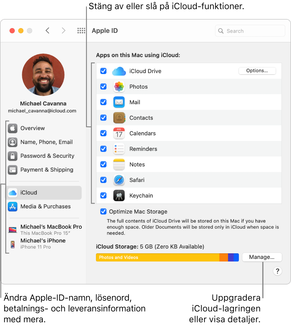 iCloud-inställningarna med alla funktioner markerade.