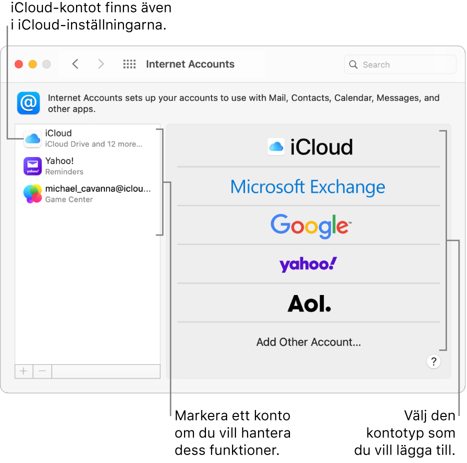 Inställningspanelen Internetkonton med konton i listan till höger och tillgängliga kontotyper i listan till vänster.