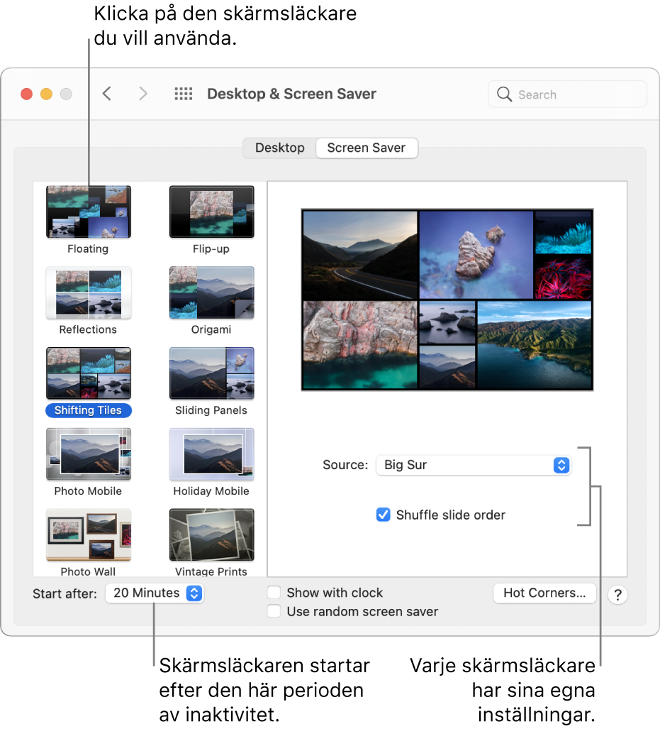 Panelen Skärmsläckare i Systeminställningar.