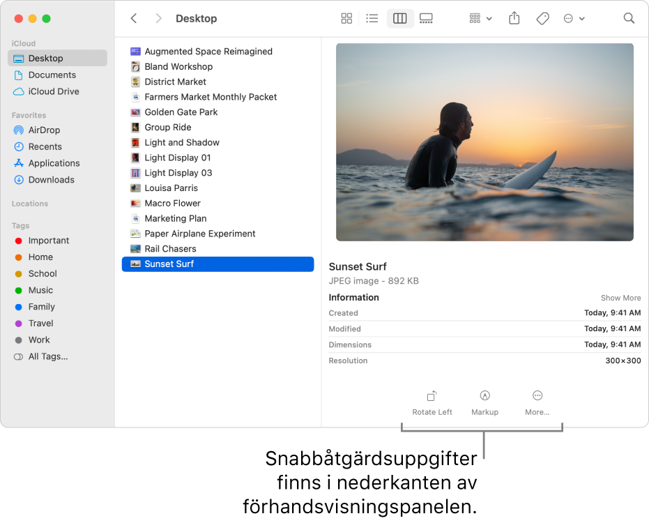 Nedre delen av förhandsvisningspanelen med knappar för snabbåtgärder.