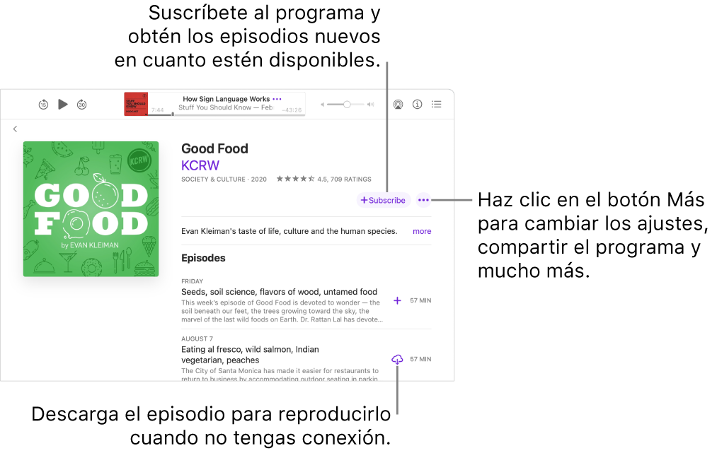La pantalla “Mostrar detalles”. Haz clic en Suscribirse para obtener nuevos episodios cuando estén disponibles. Haz clic en el botón Más para cambiar los ajustes, compartir el programa y más. Descarga el episodio si deseas escucharlo cuando no dispongas de conexión a internet.