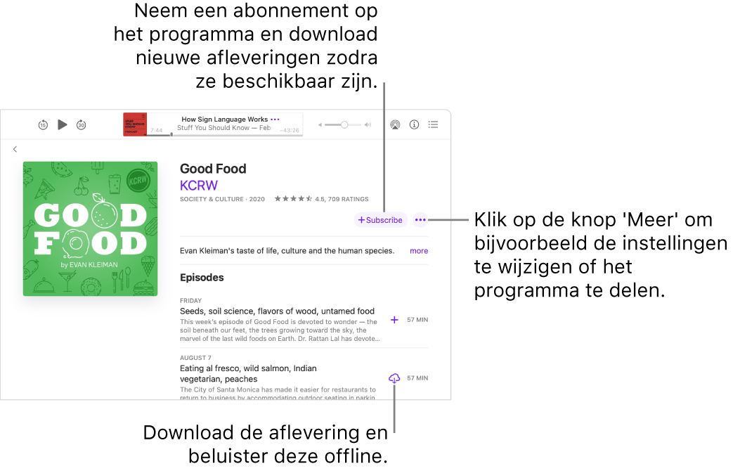 Het scherm met programmadetails. Klik op 'Abonneer' om nieuwe afleveringen te krijgen zodra die beschikbaar zijn. Klik op de knop 'Meer' om onder andere instellingen te wijzigen en het programma te delen. Download de aflevering als je deze offline wilt beluisteren wanneer je niet verbonden bent met het internet.