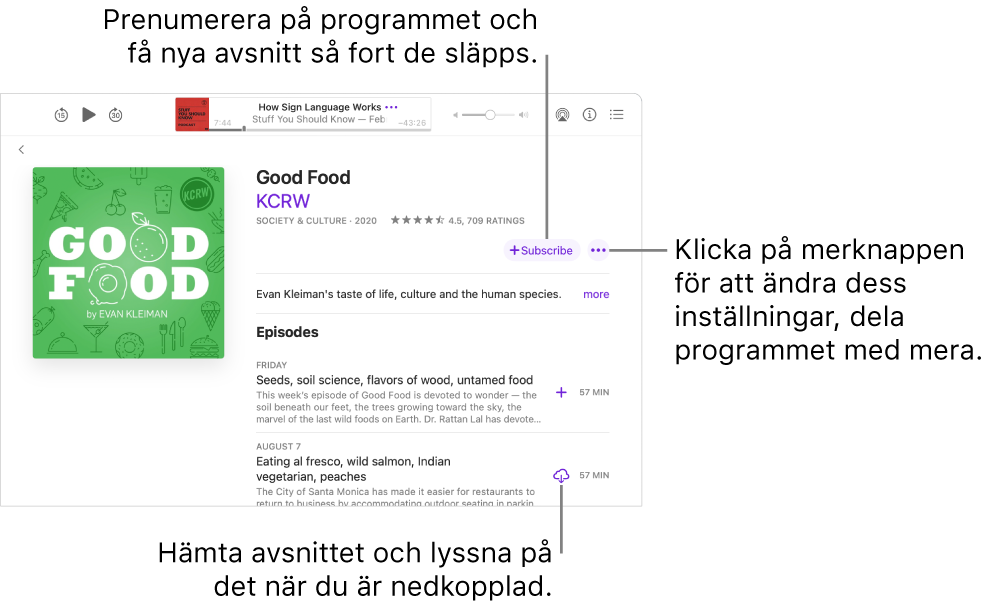 Skärmen som visar detaljer. Klicka på Prenumerera om du vill få nya avsnitt så fort de släpps. Klicka på merknappen om du vill ändra inställningar, dela appen med mera. Hämta avsnittet om du vill lyssna på det när du inte är ansluten till internet.
