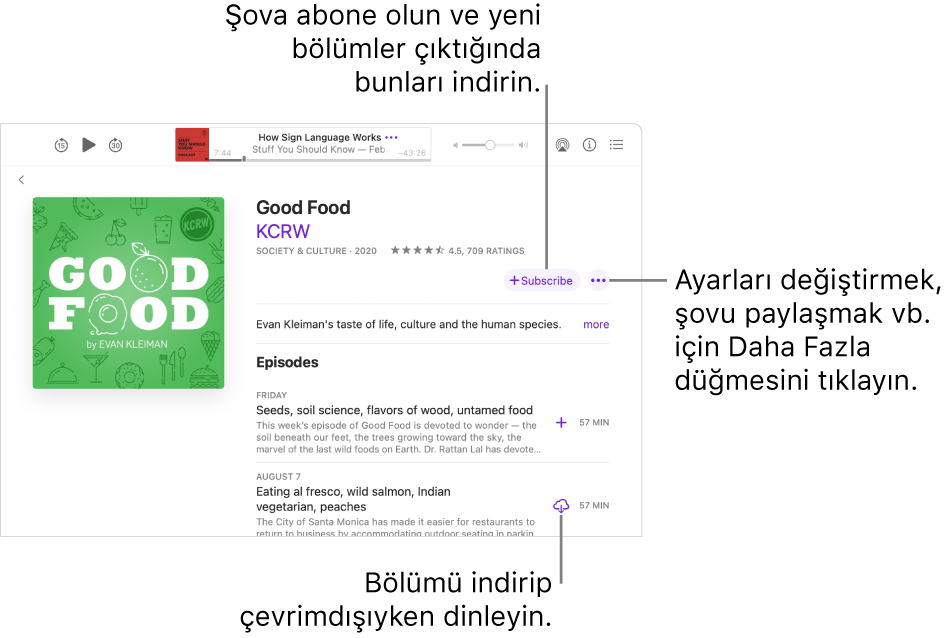 Şov ayrıntı ekranı. Çıktığında yeni bölümleri almak için Abone Ol’u tıklayın. Ayarları değiştirmek, şovu paylaşmak ve daha fazlası için Daha Fazla düğmesini tıklayın. İnternete bağlı değilken dinlemek istiyorsanız bölümü indirin.