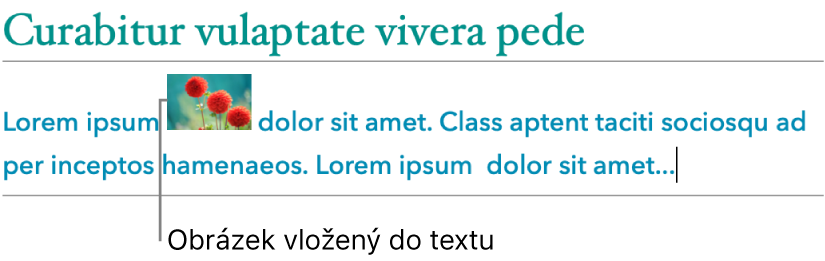 Obrázek umístěný v textu jako vložený objekt