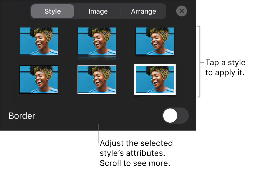 The Style tab of the Format menu with object styles at the top and a control below them to change the border.