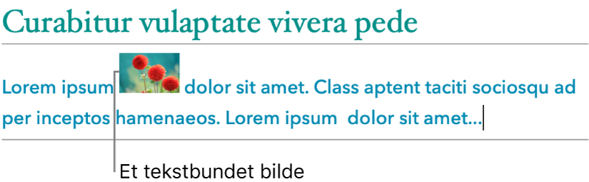 Et bilde plasseres bundet til teksten.
