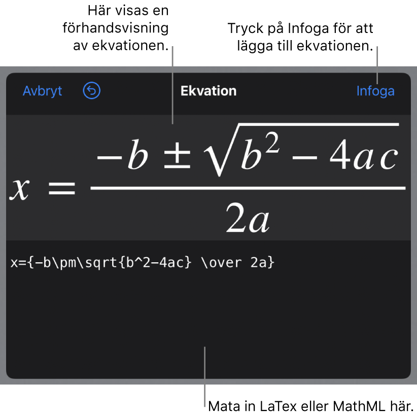 Dialogrutan Ekvation med den kvadratiska formeln som skrivits med LaTeX-kommandon och en förhandsvisning av formeln ovanför den.