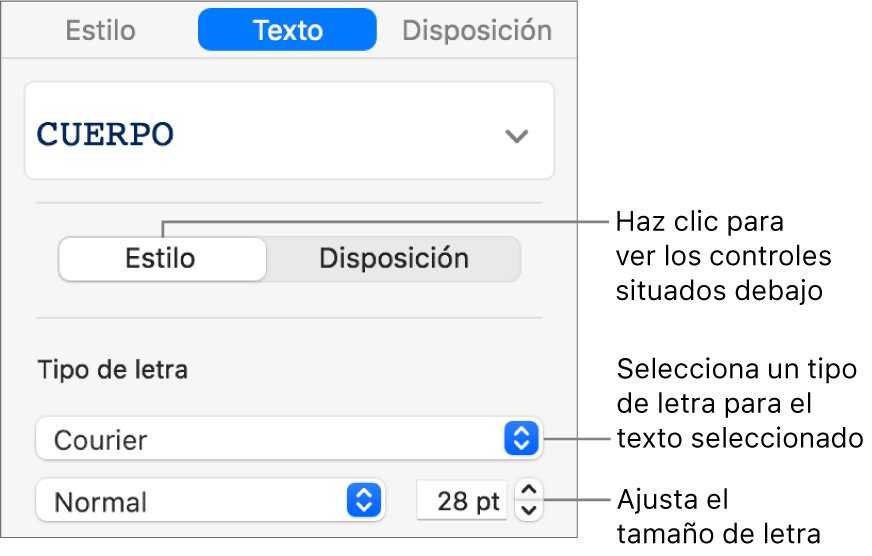 Controles de texto de la sección Estilo de la barra lateral para ajustar el tamaño y el tipo de letra.