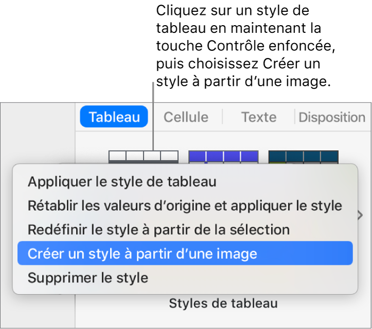 Le menu contextuel Style de tableau.