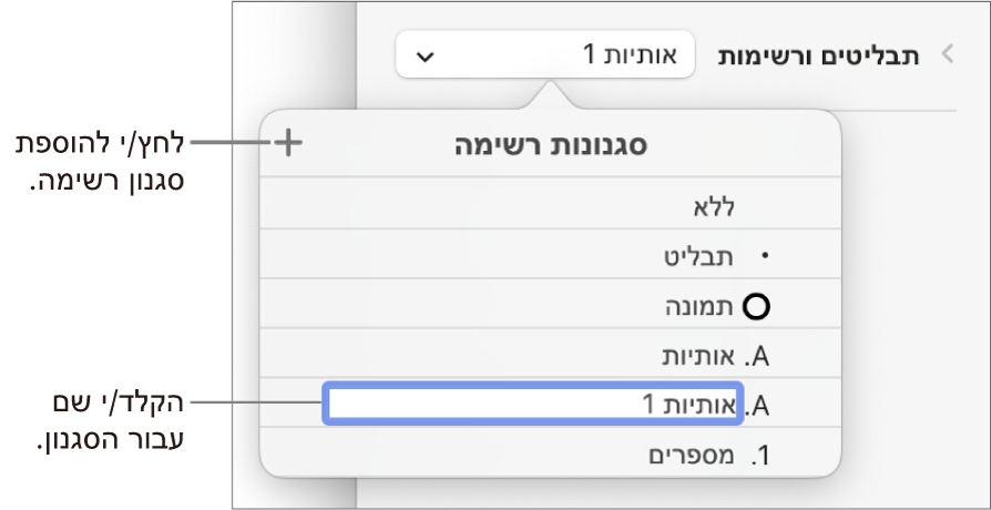 התפריט הקופצני ״סגנונות רשימה״ עם כפתור ״הוסף״ בפינה הימנית העליונה ושם של סגנון מציין מיקום כאשר המלל שלו נבחר.
