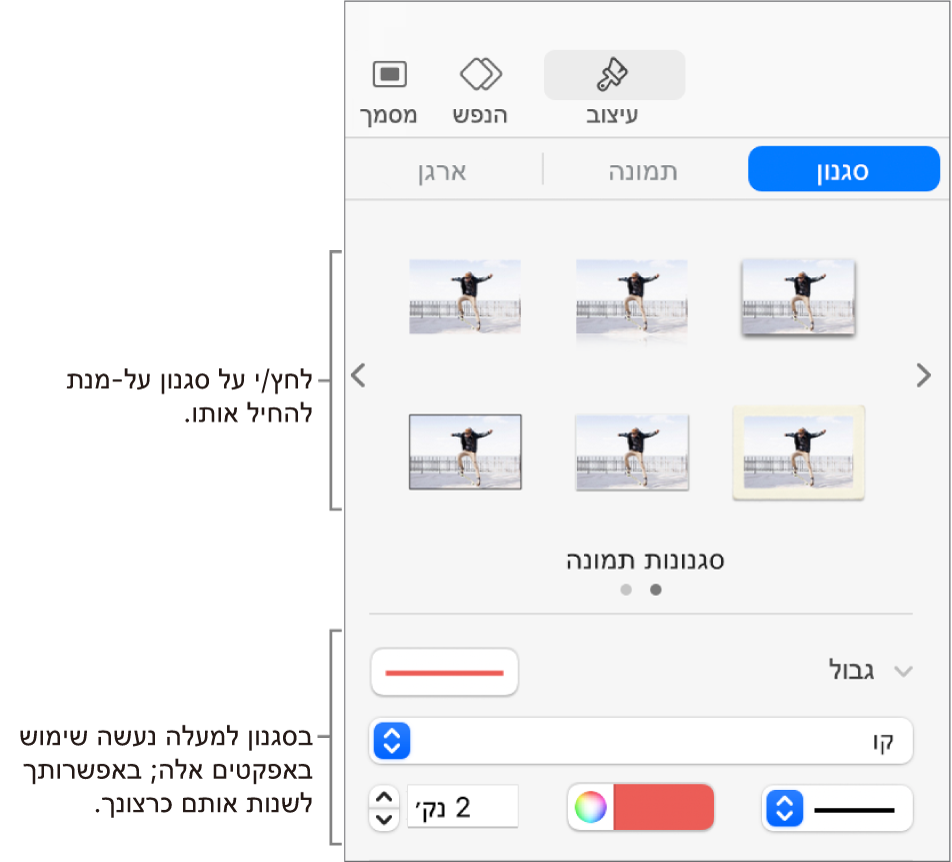 הכרטיסיה ״סגנון״ בסרגל הצד ״עיצוב״ מציגה אפשרויות עבור סגנונות אובייקטים.