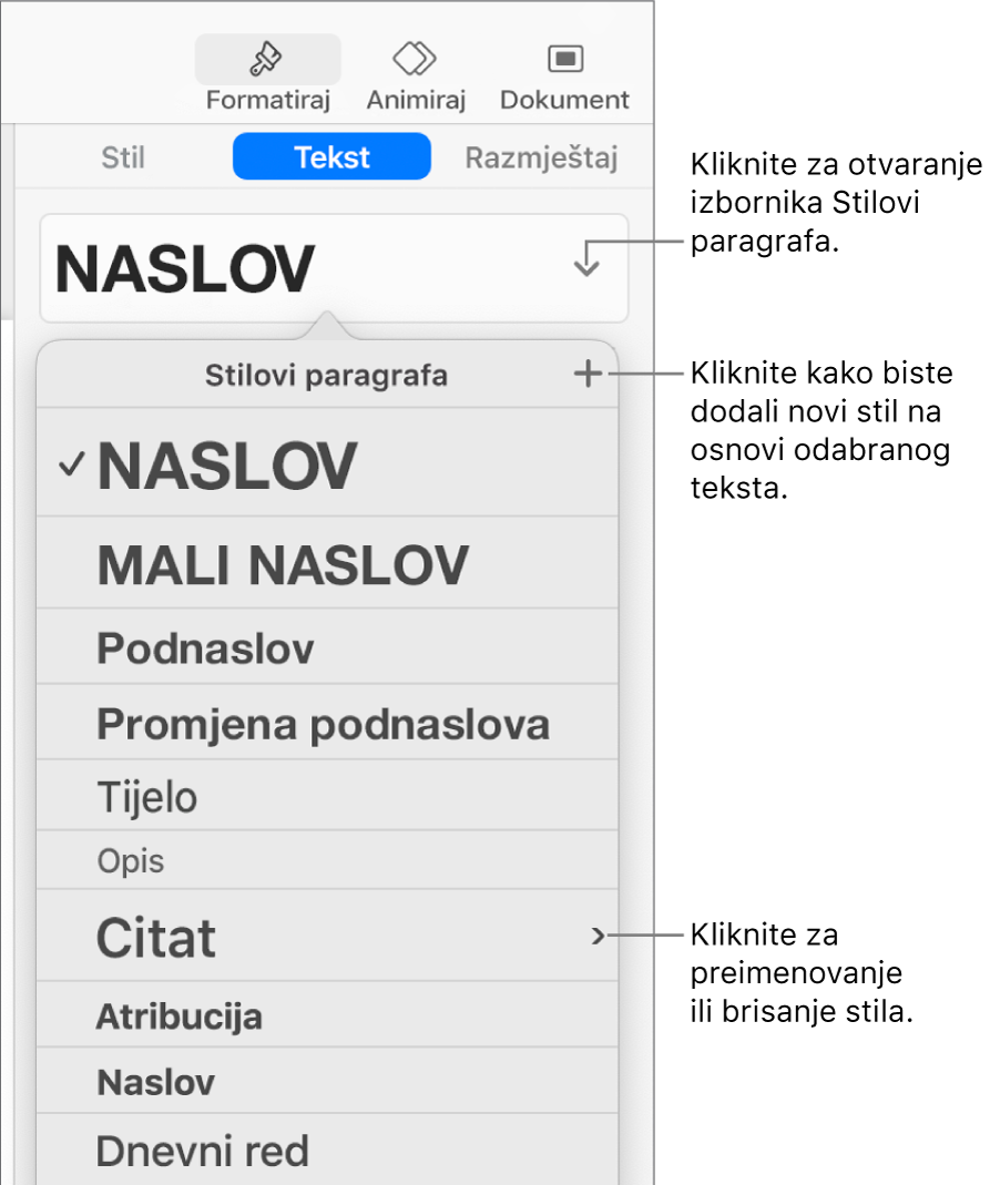 Izbornik Stilovi paragrafa s prikazanim kontrolama za dodavanje ili promjenu stila.