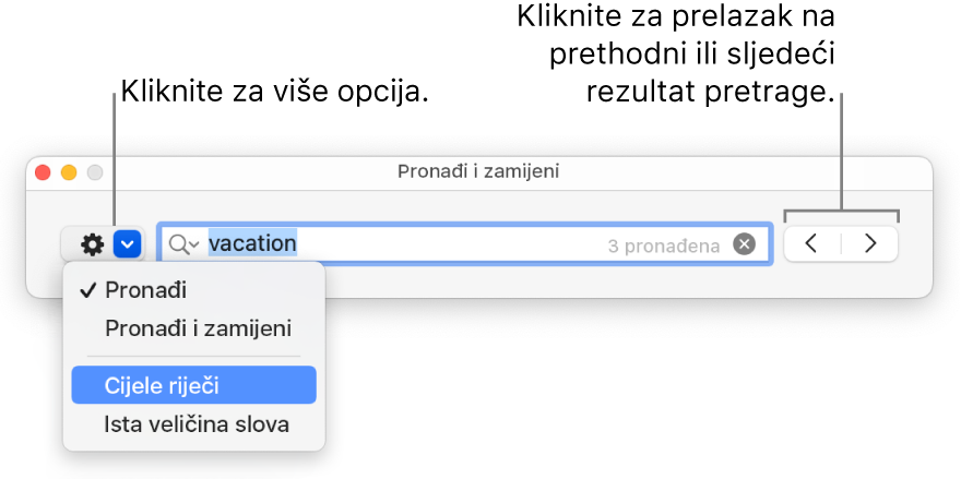 Prozor Nađi i zamijeni s balončićem na tipku za prikaz više opcija za Nađi, Nađi i zamijeni, Cijele riječi i Uskladi veličinu slova. Strelice zdesna omogućuju vam skok na prethodni ili sljedeći rezultat pretrage.