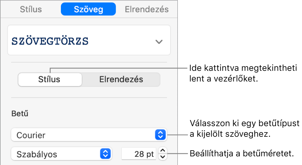 Szövegvezérlők az oldalsáv Stílus szakaszában a betűtípus és betűméret beállításához.