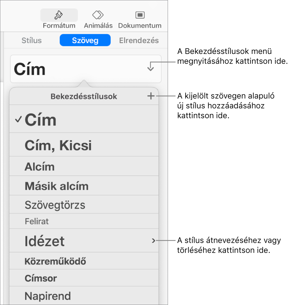 A Bekezdésstílusok menü a stílusok hozzáadására vagy módosítására szolgáló vezérlőkkel.