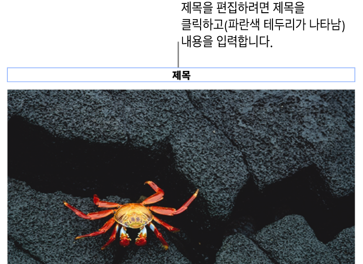 사진 아래에 ‘제목’이라고 나타나는 위치 지정자 제목. 제목 필드 주위의 파란색 윤곽선은 선택되었음을 나타냄.