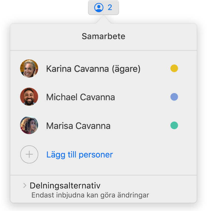 Menyn Samarbete med namnen på de personer som samarbetar på en presentation. Under namnen finns delningsalternativ.