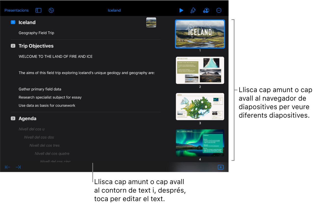 La vista d’esquema amb l’esquema de text a la part esquerra de la pantalla i el navegador de diapositives vertical a la part dreta.