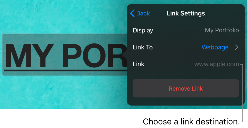 The Link Settings controls with fields for Display, Link To (Webpage is selected), and Link. The Remove Link button is at the bottom.