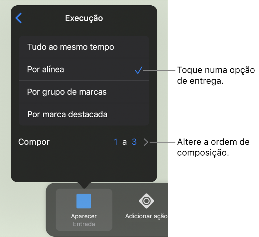 Opções de execução no painel Entrada.