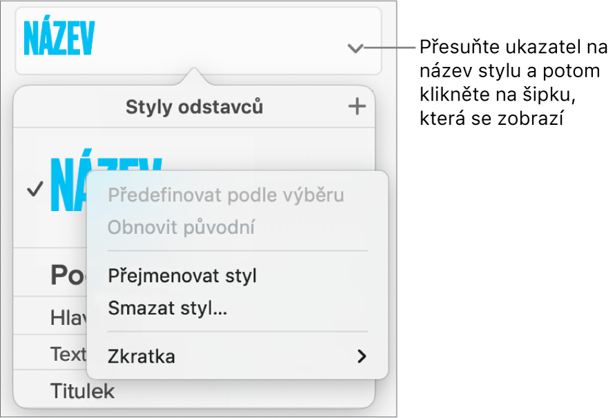 Nabídka Styly odstavců s otevřenou nabídkou zkratek.