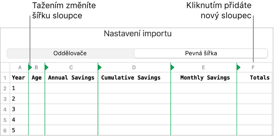 Nastavení importu pro text s pevnou šířkou.