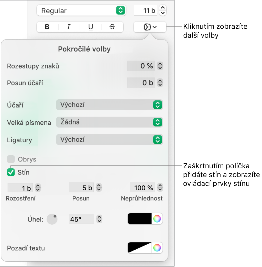 Otevřená nabídka pokročilých voleb se zaškrtnutým políčkem Stíny a ovládacími prvky pro nastavení rozostření, posunu, neprůhlednosti, úhlu a barvy